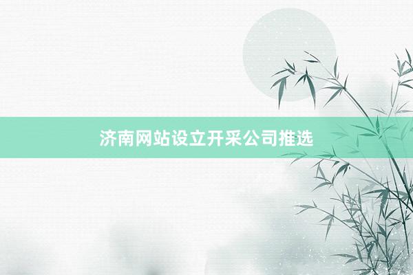 济南网站设立开采公司推选